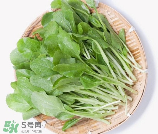 雞毛菜有什么營養(yǎng)價(jià)值？雞毛菜的功效與作用