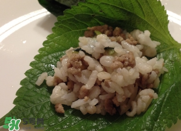 紫蘇和羅勒是一種東西嗎？紫蘇葉對(duì)人體有什么好處