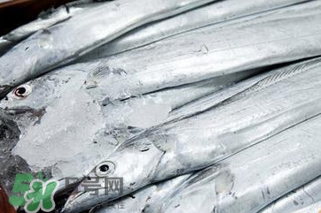 帶魚是深海魚嗎？帶魚是海鮮嗎