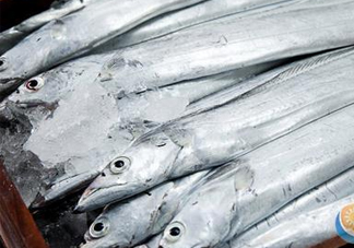 帶魚是深海魚嗎？帶魚是海鮮嗎
