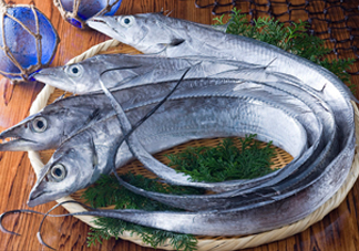 帶魚是咸的嗎？帶魚是無(wú)鱗魚嗎