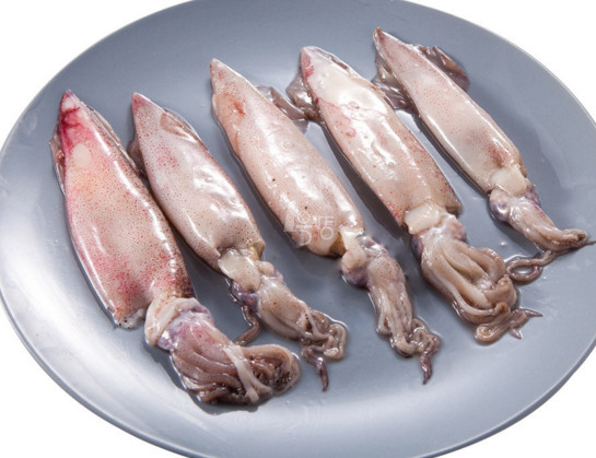 章魚是魷魚嗎？章魚和魷魚有什么區(qū)別