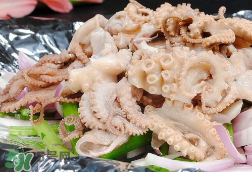 八爪魚是魷魚嗎？八爪魚是章魚嗎