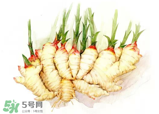 7月份可以種生姜嗎？生姜幾月份種植？