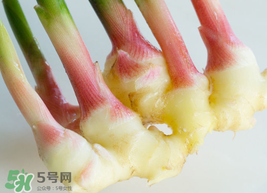 7月份可以種生姜嗎？生姜幾月份種植？