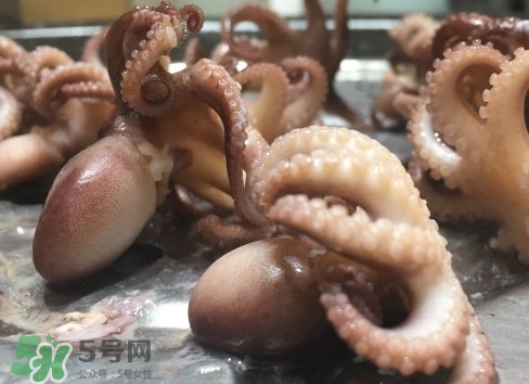 八爪魚怎么做好吃？八爪魚怎么保存