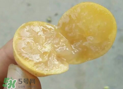 黃皮可以吃皮嗎？黃皮果可以帶皮吃嗎