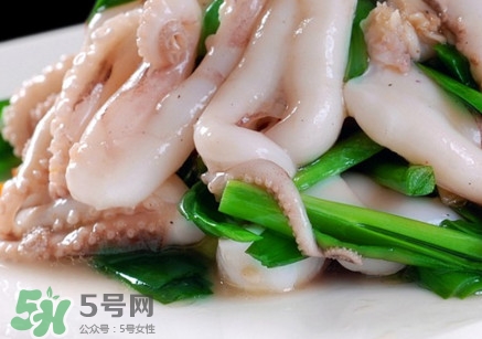 八爪魚是魷魚嗎？八爪魚是章魚嗎
