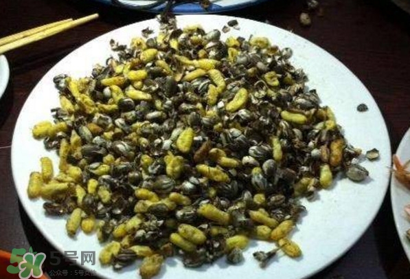 洋辣子是什么？洋辣子能吃嗎？