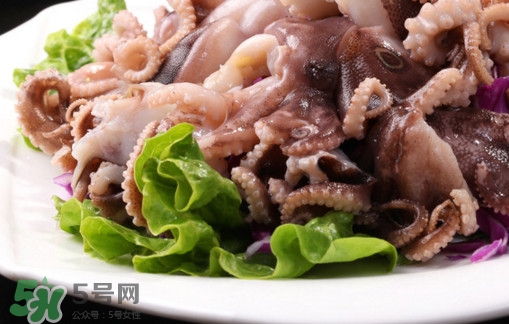 八爪魚是魷魚嗎？八爪魚是章魚嗎