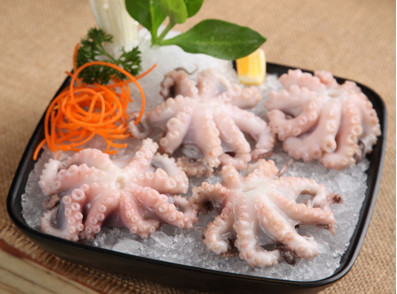 八爪魚是海鮮嗎？八爪魚是發(fā)物嗎