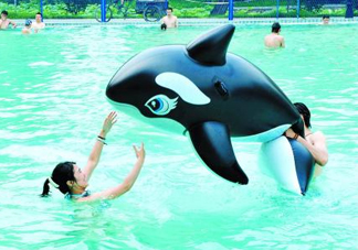 三伏天可以游泳嗎？三伏天游泳會有濕氣嗎？