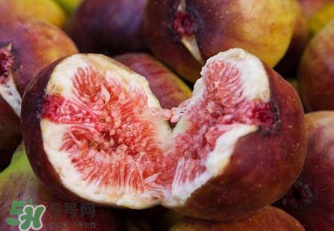 無花果能治痔瘡嗎？無花果怎樣吃治痔瘡？