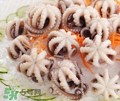 八爪魚(yú)為什么有大米？八爪魚(yú)為什么有墨汁