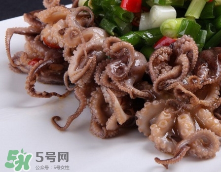 八爪魚怎么做好吃？八爪魚怎么保存