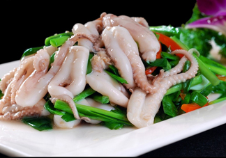 八爪魚(yú)是魷魚(yú)嗎？八爪魚(yú)是章魚(yú)嗎