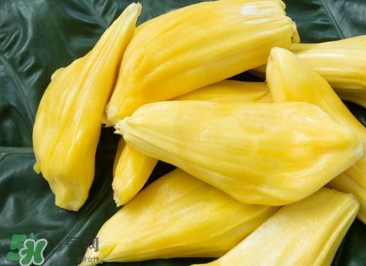 木菠蘿買(mǎi)來(lái)怎么吃？木菠蘿吃多了會(huì)怎樣？