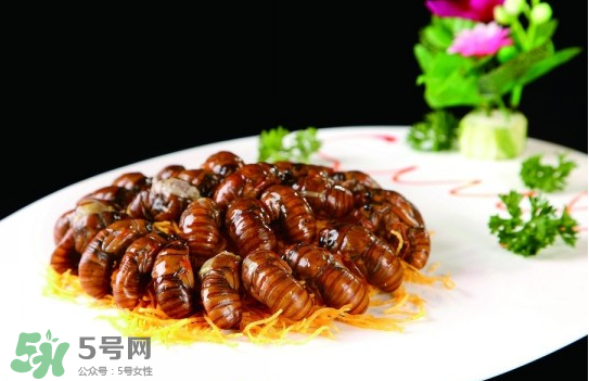 知了猴孕婦可以吃嗎？孕婦能吃知了猴嗎？