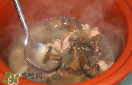 重陽菌孕婦可以吃嗎？重陽菌怎樣保存才新鮮