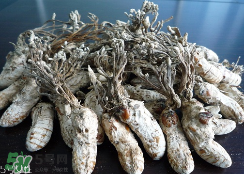 金蟬花多少錢一斤？2017金蟬花價格