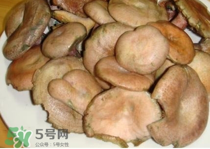 樅樹菌孕婦可以吃嗎？孕婦能吃樅樹菌嗎