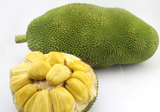 木菠蘿買來怎么吃？木菠蘿吃多了會怎樣？