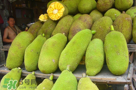 木菠蘿買(mǎi)來(lái)怎么吃？木菠蘿吃多了會(huì)怎樣？