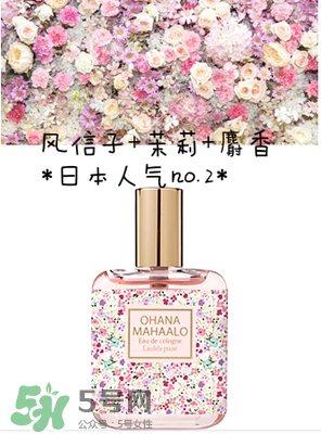 ohana mahaalo香水是什么牌子？ohana mahaalo在哪買？