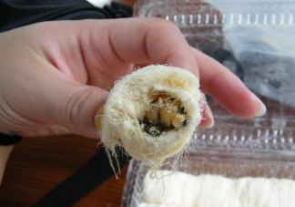 龍須糖是哪里的特產(chǎn)？龍須糖為什么叫龍須糖