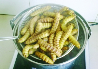 豆丹做菜前怎么處理干凈？豆丹怎么養(yǎng)殖