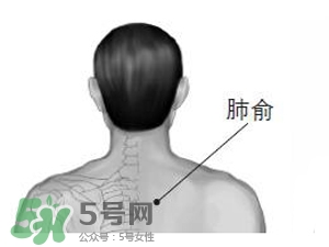 三伏貼能治過敏性鼻炎嗎？三伏貼治過敏性鼻炎貼哪里？