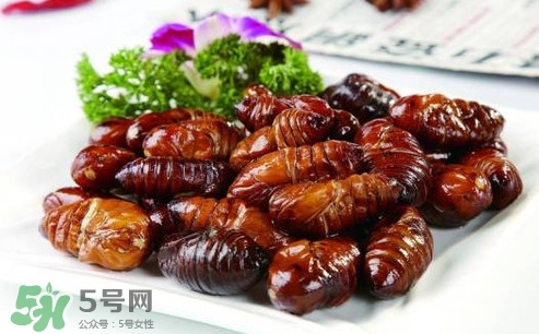 蟬蛹可以人工養(yǎng)殖嗎？蟬蛹的養(yǎng)殖方法