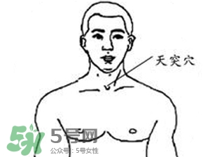 三伏貼能治過敏性鼻炎嗎？三伏貼治過敏性鼻炎貼哪里？