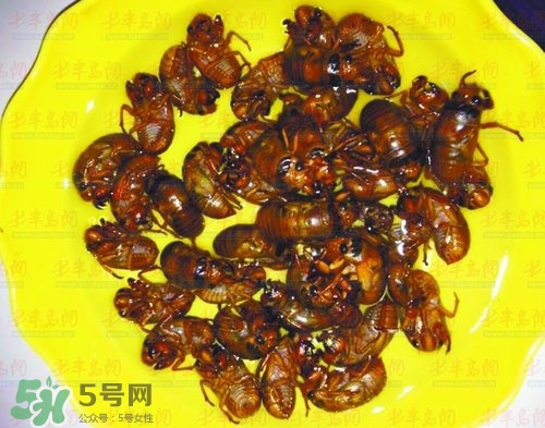 知了猴能淹死嗎？知了猴哪個(gè)部位不能吃？