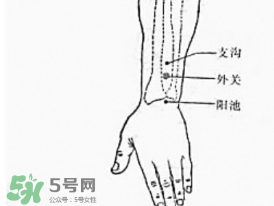 三伏貼能治過敏性鼻炎嗎？三伏貼治過敏性鼻炎貼哪里？