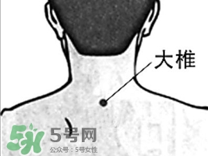 三伏貼能治過敏性鼻炎嗎？三伏貼治過敏性鼻炎貼哪里？
