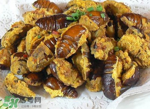 水煮蟬蛹怎么做？蟬蛹煮多久可以熟？