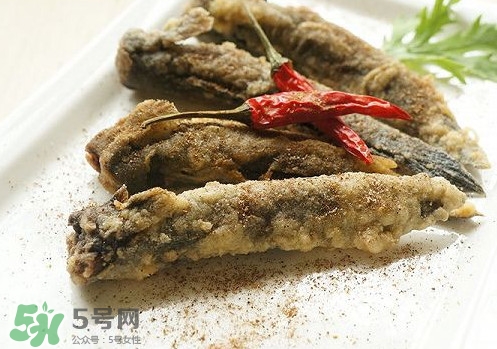 彈涂魚是兩棲動物嗎？彈涂魚營養(yǎng)價值有哪些