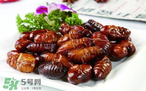蟬蛹里面黑色的能吃嗎？蟬蛹是怎么形成的