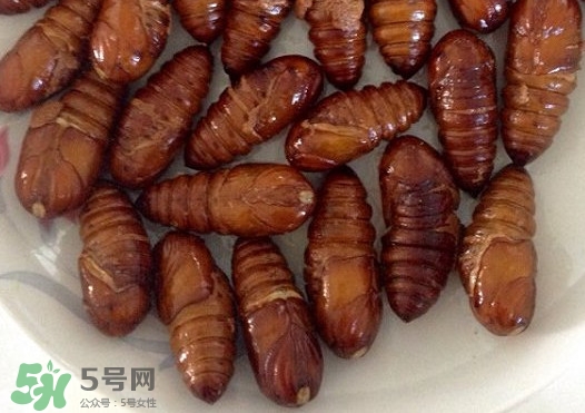 蟬蛹吃什么部位？蟬蛹都有哪些營養(yǎng)價值