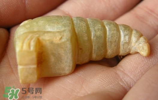 蟬蛹能吃嗎？蟬蛹怎么做好吃