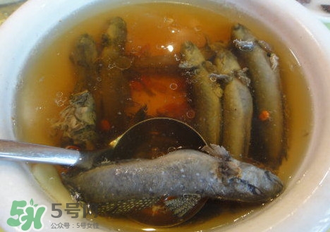 跳跳魚多少錢一斤？跳跳魚是淡水魚嗎？