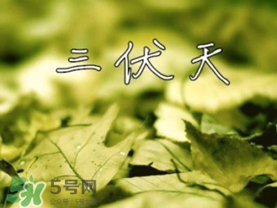 三伏天怎么坐月子？三伏天坐月子要注意什么？