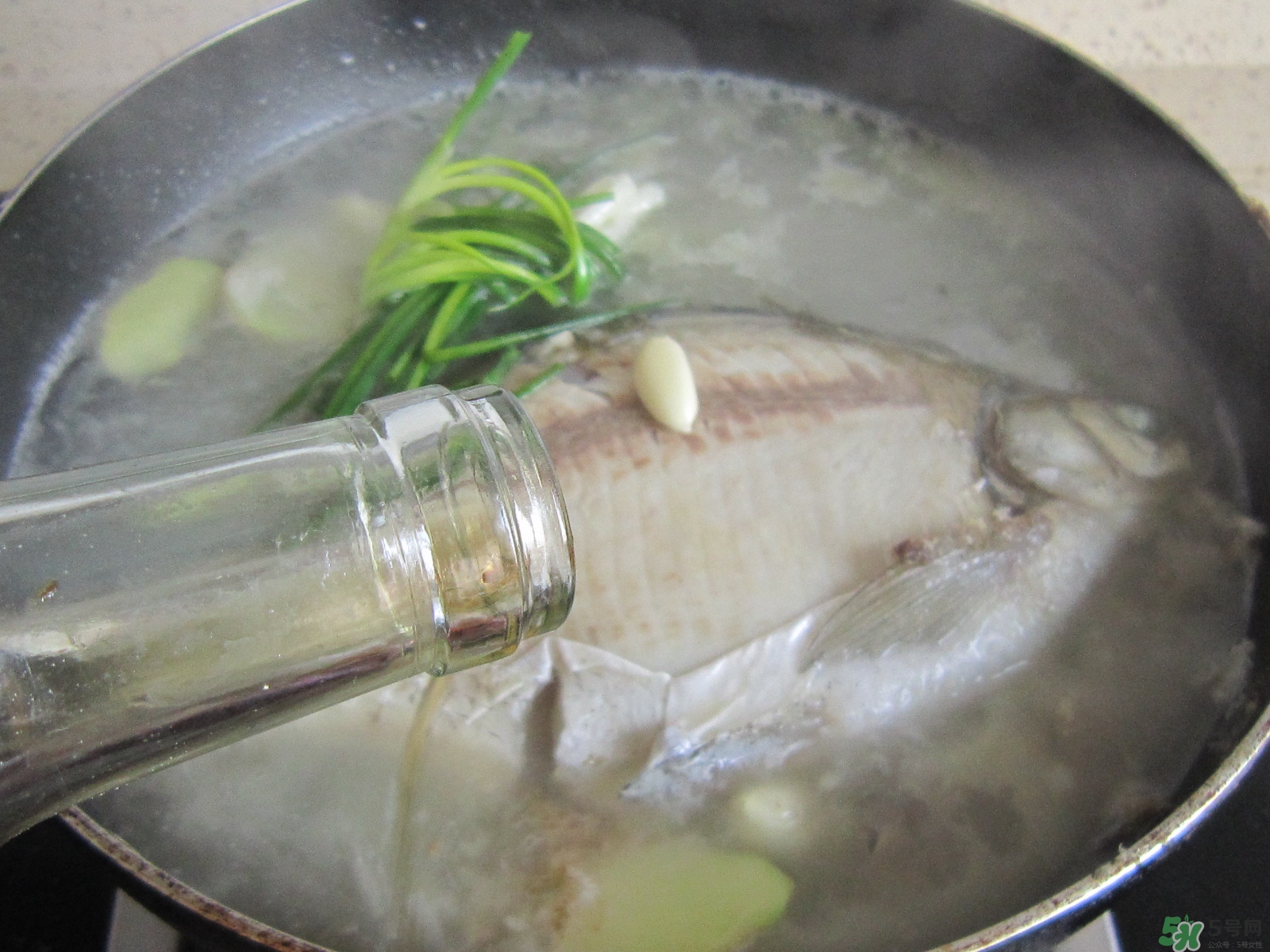 三伏灸可以吃魚嗎？三伏灸可以吃什么魚？