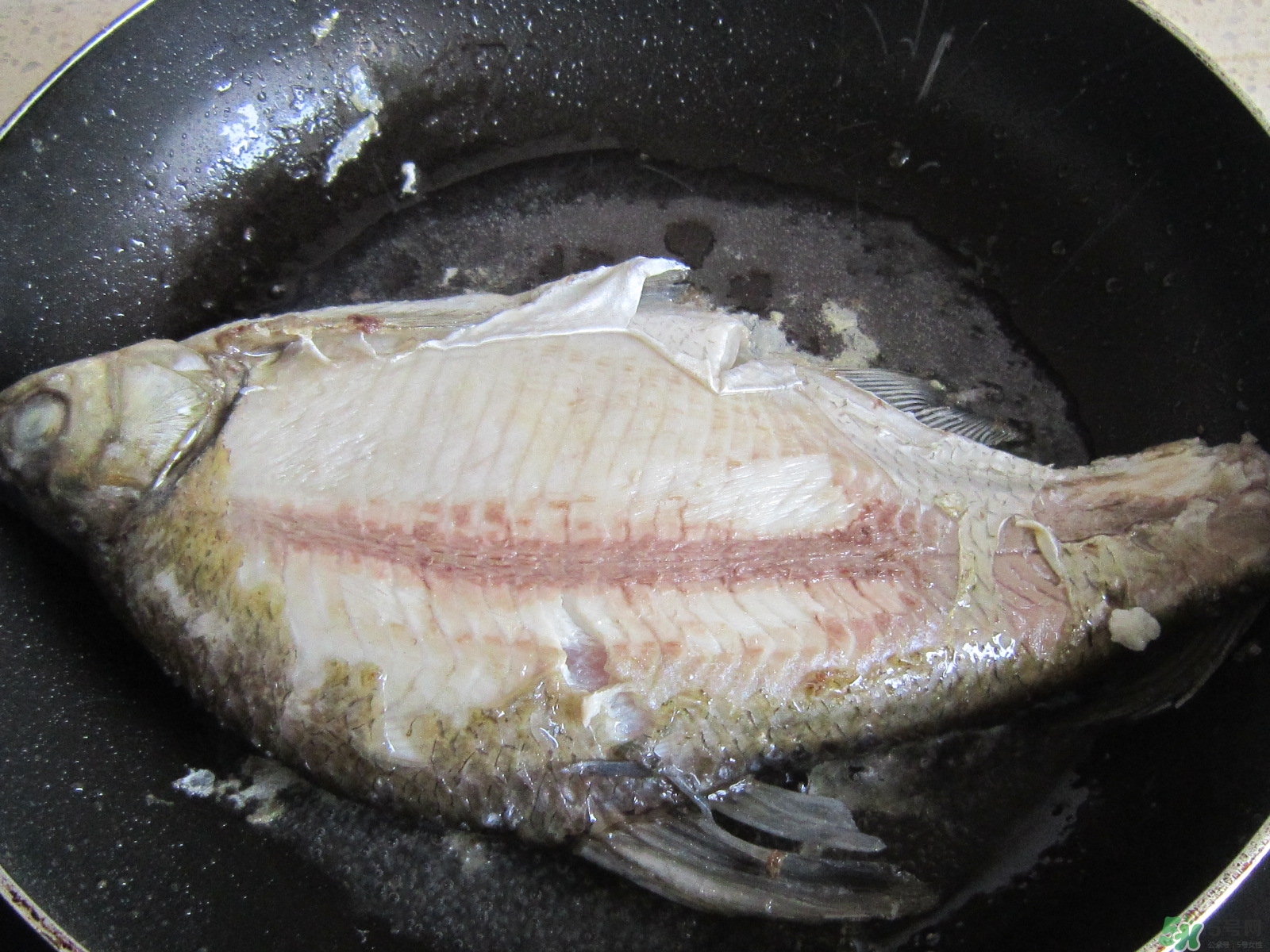 三伏灸可以吃魚嗎？三伏灸可以吃什么魚？