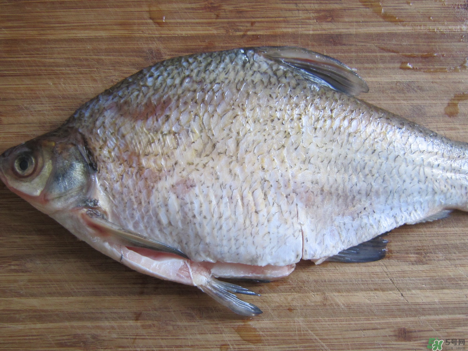 三伏灸可以吃魚嗎？三伏灸可以吃什么魚？