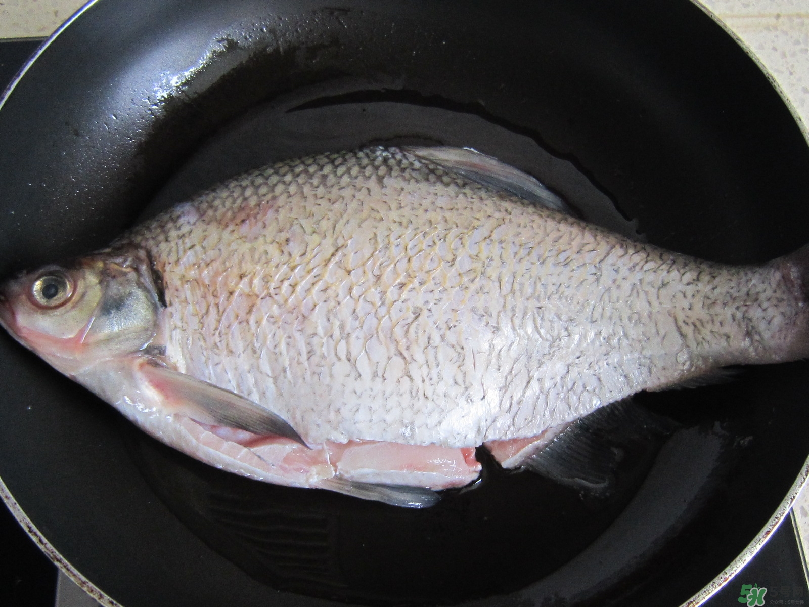 三伏灸可以吃魚嗎？三伏灸可以吃什么魚？