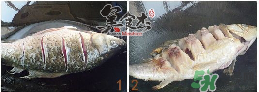 三伏灸可以吃魚嗎？三伏灸可以吃什么魚？