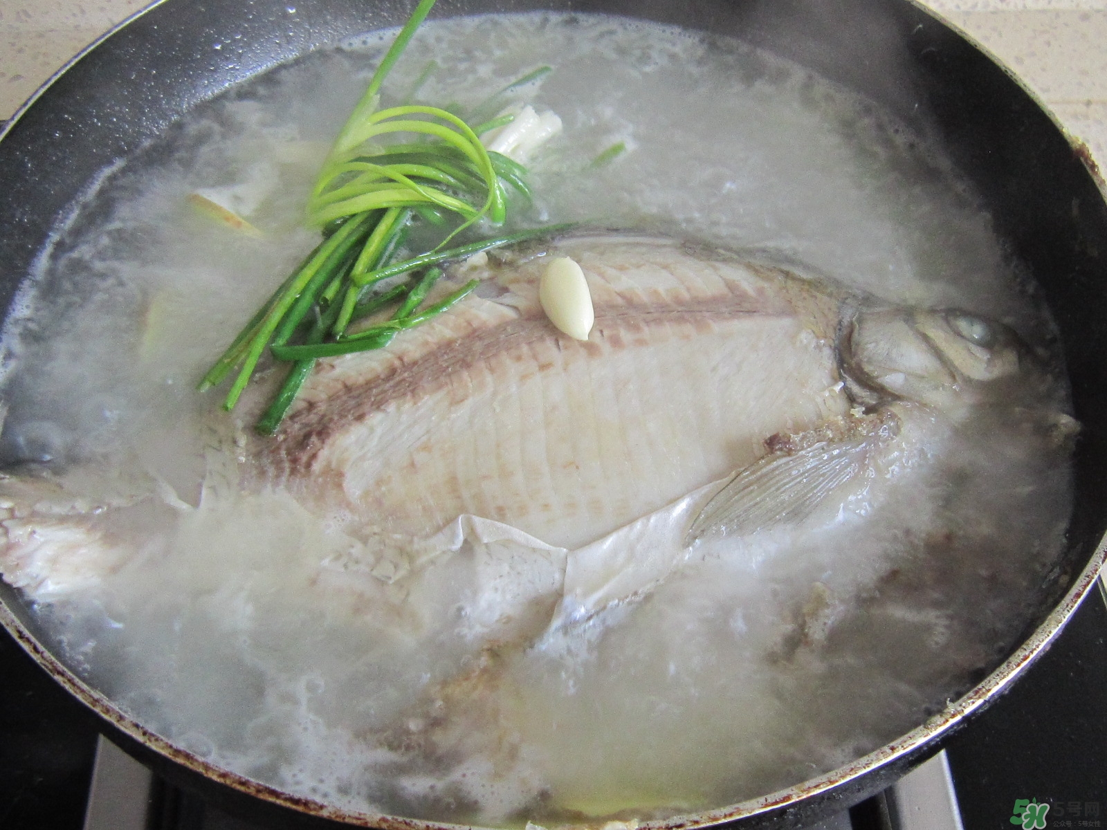 三伏灸可以吃魚嗎？三伏灸可以吃什么魚？