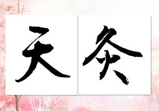三伏灸可以吃水果嗎？貼三伏灸可以吃什么水果？